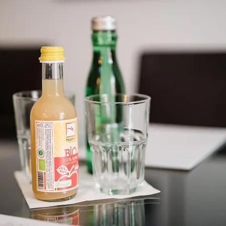 酒店 玛丽亚希尔费酒店 格拉茨