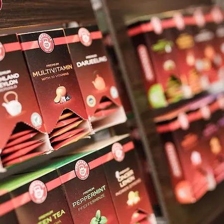 酒店 玛丽亚希尔费酒店 格拉茨