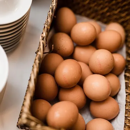 玛丽亚希尔费酒店 3* 格拉茨