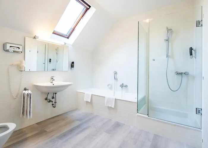 فندق مارياهيلف 3*